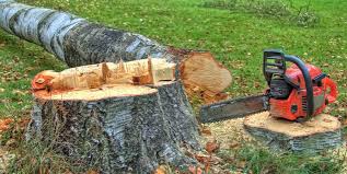 Best Leaf Removal  in Layhill, MD