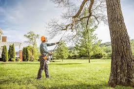 Best Tree and Shrub Care  in Layhill, MD