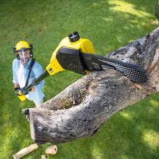 Best Weed Control  in Layhill, MD